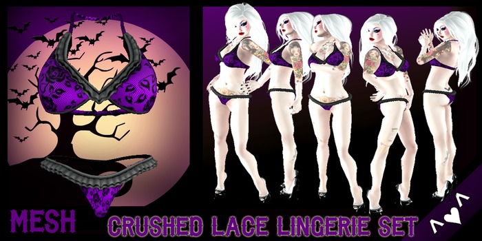 ^v^DRBC^v^ Crushed Lace Lingerie Set