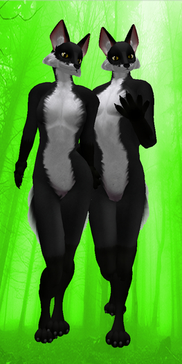 Hen Soup Fox Black