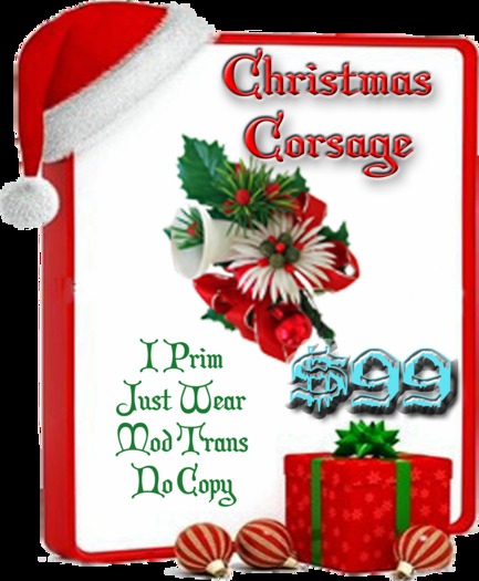 Box Christmas Corsage