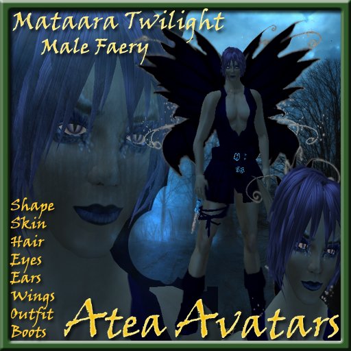 Mataara Twilight Male Faery