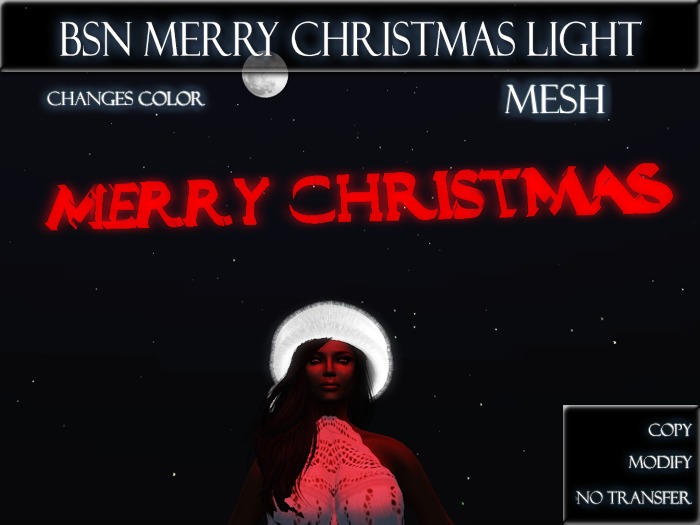 BSN Merry Christmas Light