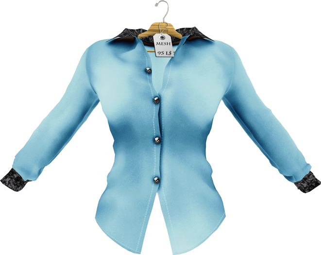 Mesh_Lacy Bluse  Blue