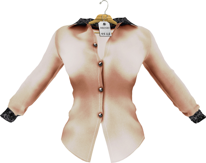 Mesh_Lacy Bluse  Beige