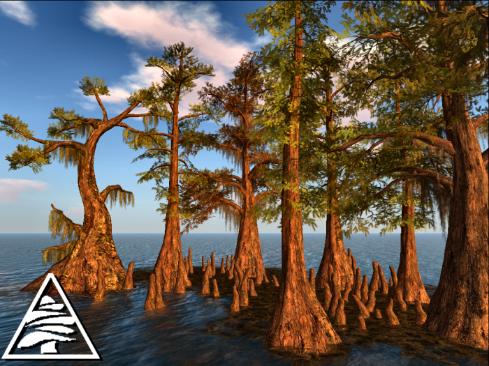 Swamp Cypresses (7pcs) with roots + mossy ground M/T