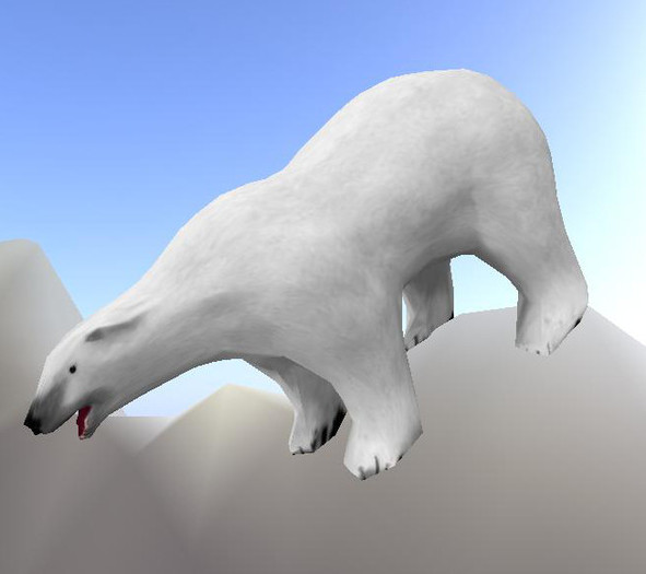 Polar Bear , 1 Prim