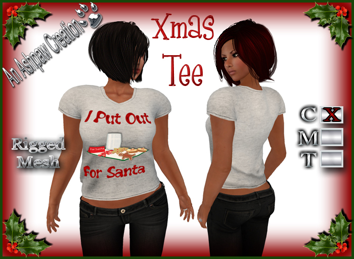 Xmas Tee- I Put Out For Santa