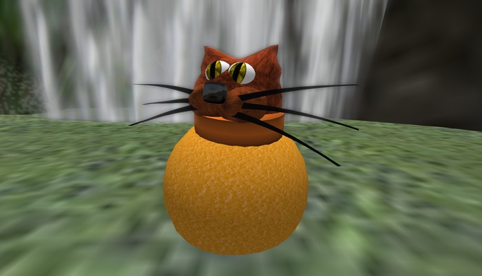 Wingsong Cat Orange Tabby Box