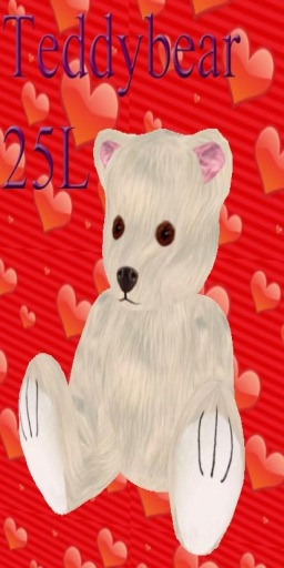 White Teddy Bear