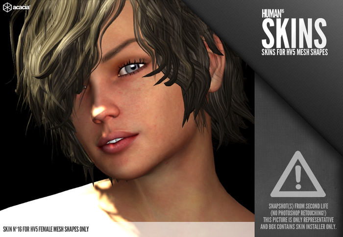 Horo - HV5 : Skin 16 (Female) (HUD - Skin Installer)