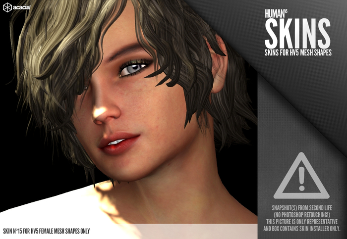 Horo - HV5 : Skin 15 (Female) (HUD - Skin Installer)