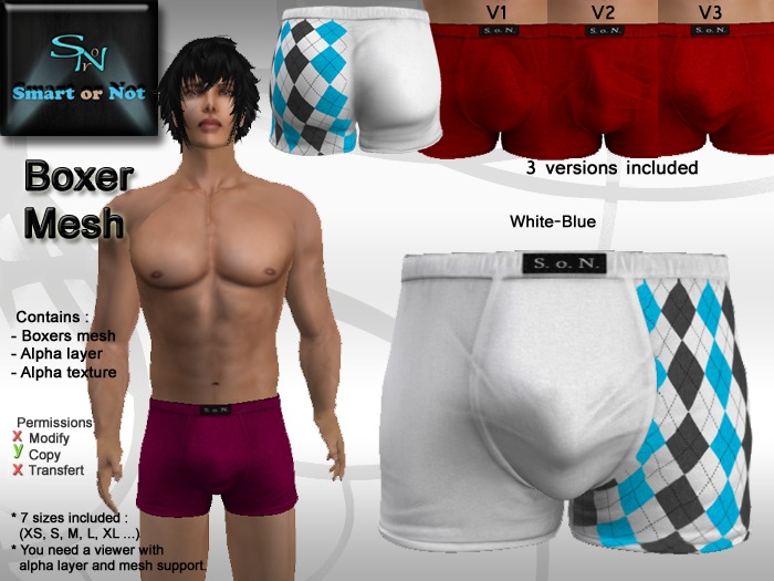 Boxer Darlington white 2 - MESH