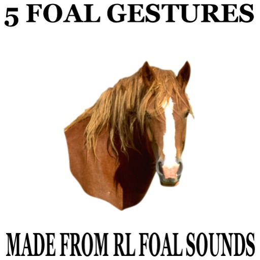 (DE) Foal Sound Gestures (5)