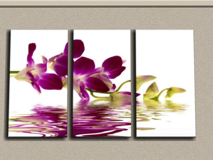 Orchid purple triptych