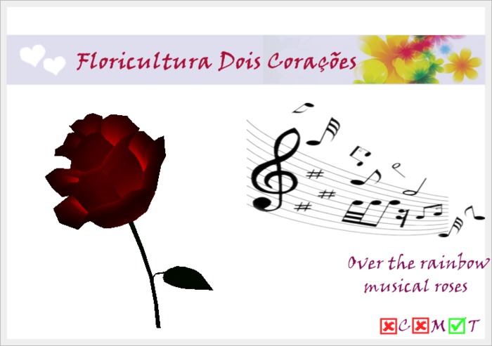 Musical rose *Over the rainbow*