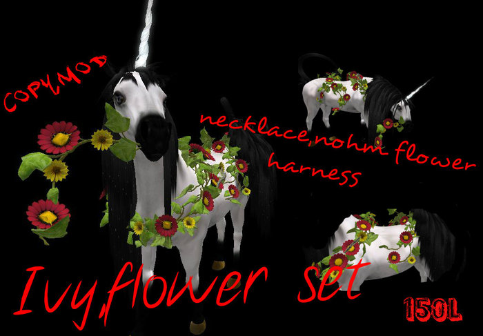 Ivy Daisy red,yellow GIFT