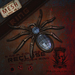 Recluse presentation card