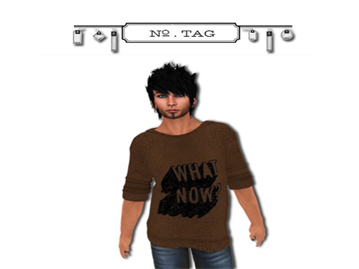 No.Tag - Loose Shirt What Now Brown {mesh}