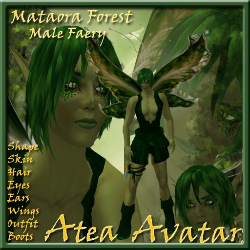 Mataora Forest Male Faery