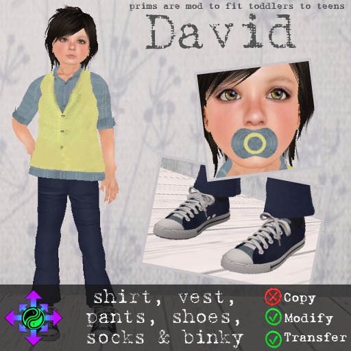 Vicarious Vitae - David