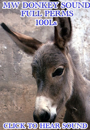 Donkey Sound full perms