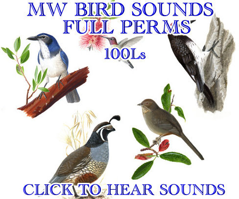 MW BIRDS SOUND FULL PERMS 