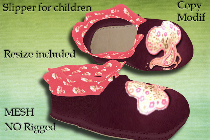 Slipper chicken ***Mesh***