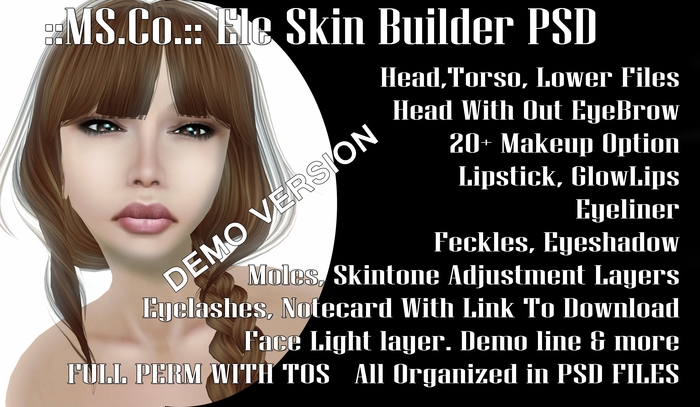 ::MS.Co::: Ele Skin Builder Demo