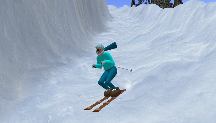 Wingsong Snow Ski Box
