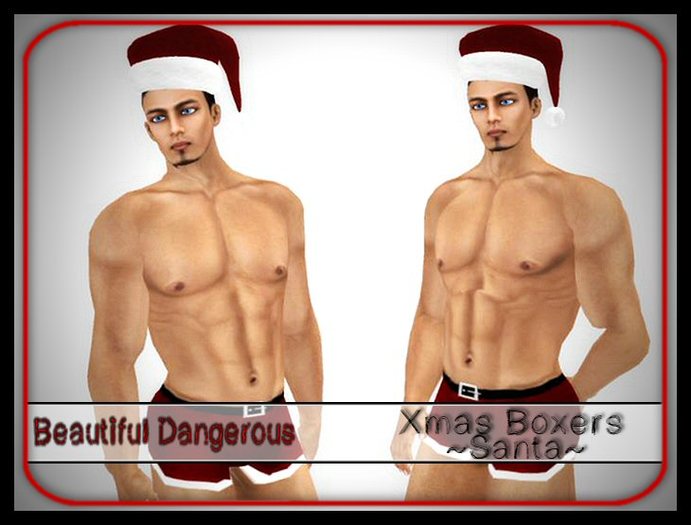 ! Beautiful Dangerous ! Xmas Boxers ~Santa~