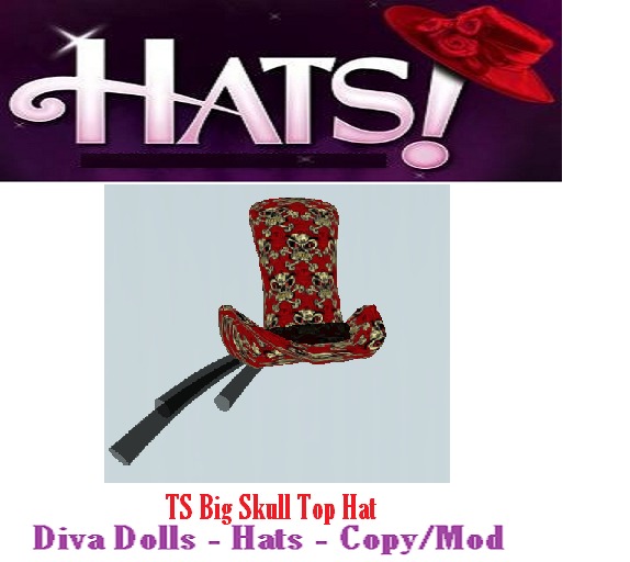 TS Big Skull Top Hat Boxed 