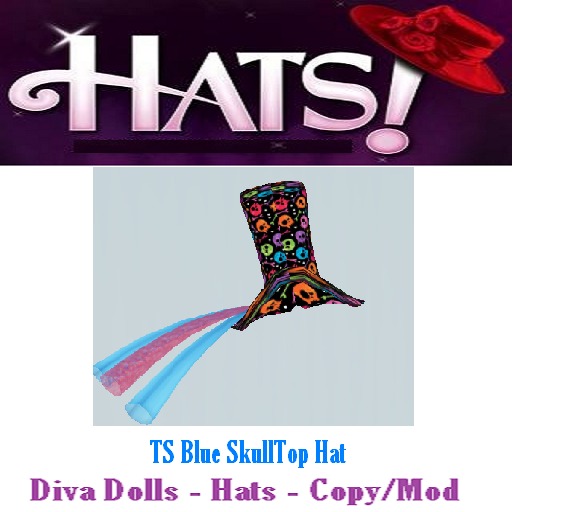 TS Blue Skull Top Hat Boxed 