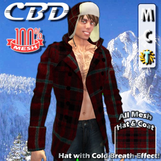 CBD - Red Plaid Peacoat Set