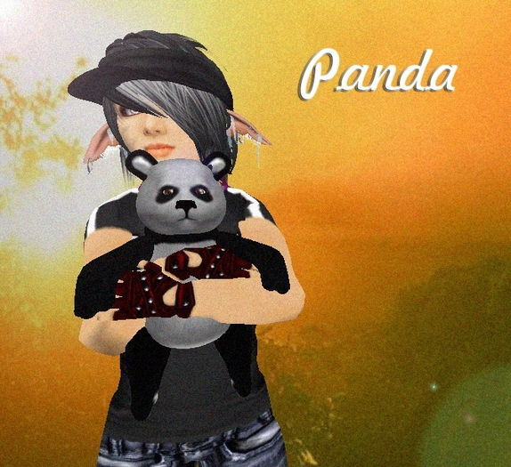 Panda toy