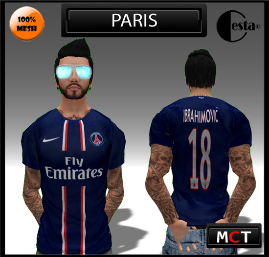 Camisa Mesh Paris 18