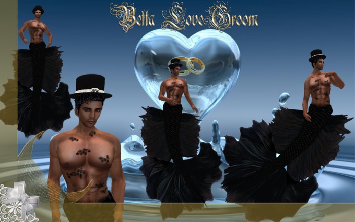 Betta Love Groom