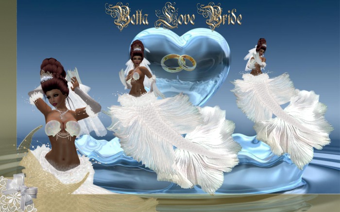 Betta Love Bride