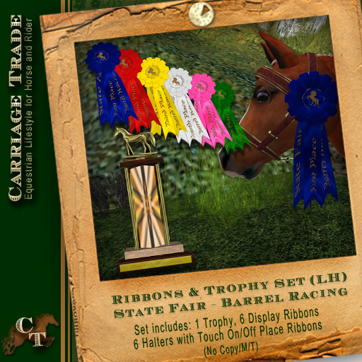 Ribbon & Trophy Set LH Water Horse Avatar (SF/Barrel Racing)