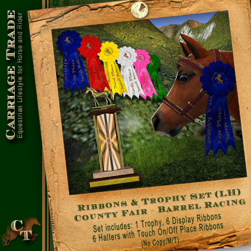 Ribbon & Trophy Set LH Water Horse Avatar  (County Fair/Barrel Racing)