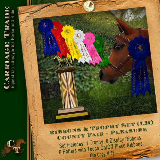 Ribbon & Trophy Set LH Water Horse Avatar  (County Fair/Pleasure)