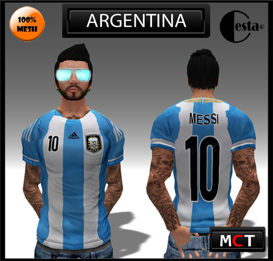 Camisa Mesh Argentina 10