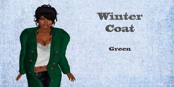 Winter Coat Green