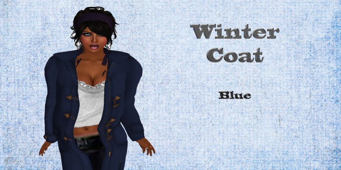 Winter Coat Blue