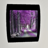 Picture Purple Forest