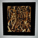 Frame Roots