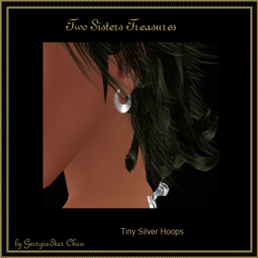 TST Silver Hoop Tiny Earrings