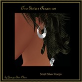 TST Silver Hoop Small Earrings