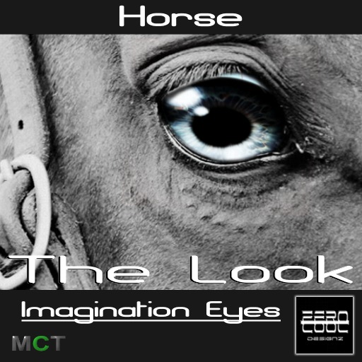 ZC The Look Horse - Imagination Eyes 1