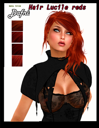 *Dafnis hair lucile reds