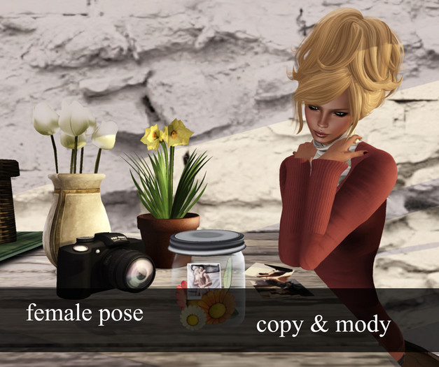 ZIPI Poses - Dreamer