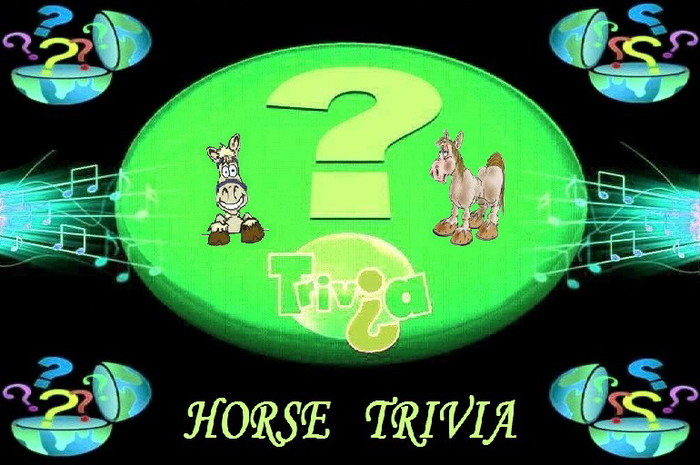 Horse Trivia